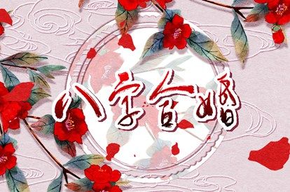 理想伴侣的家庭角色